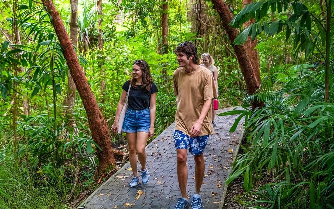 Cairns to Fitzroy Island Half-Day Cruise With Activity Upgrades Image 6