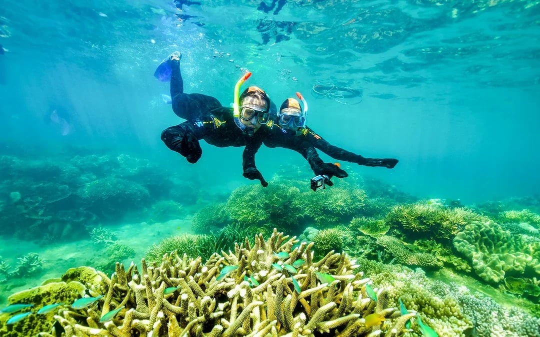 Cairns to Fitzroy Island Half-Day Cruise With Activity Upgrades Image 9