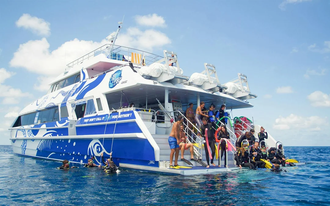 Cairns to Great Barrier Reef Full Day Cruise with Guided Snorkelling Tours Image 1