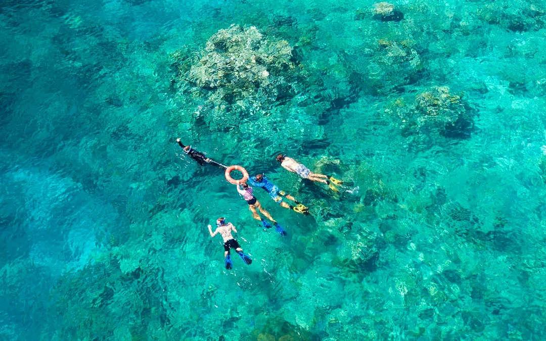 Cairns to Great Barrier Reef Full Day Cruise with Guided Snorkelling Tours Image 4