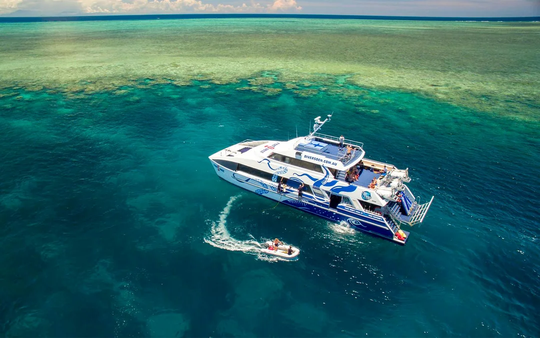 Cairns to Great Barrier Reef Full Day Cruise with Guided Snorkelling Tours Image 8