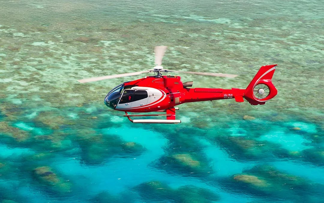 Cairns to Great Barrier Reef Full Day Cruise with Scenic Heli-Flight and Lunch Image 7