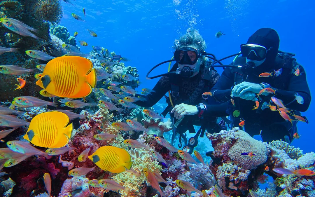 Cairns to Great Barrier Reef Snorkel Cruise with Lunch Image 11