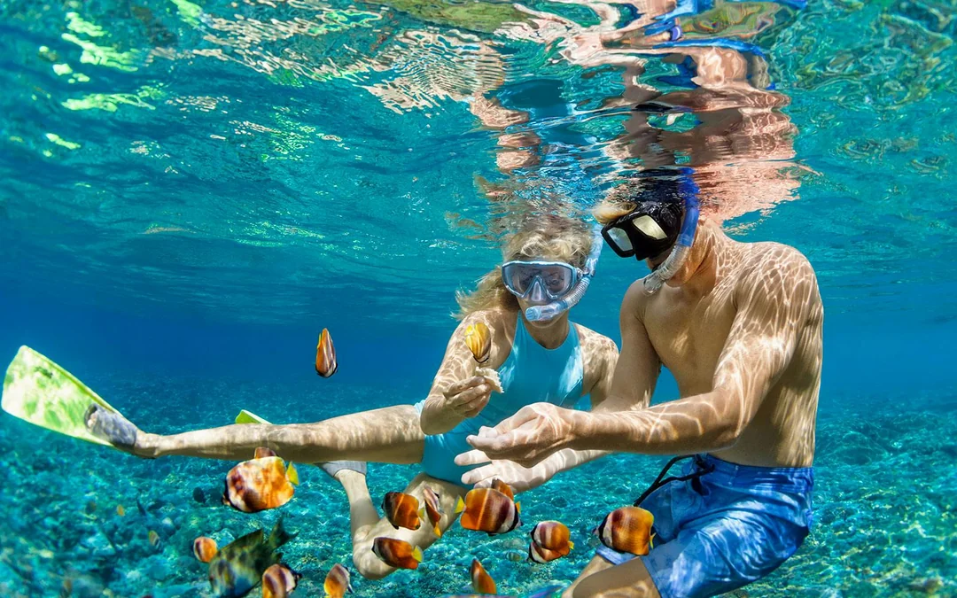 Cairns to Great Barrier Reef Snorkel Cruise with Lunch Image 5