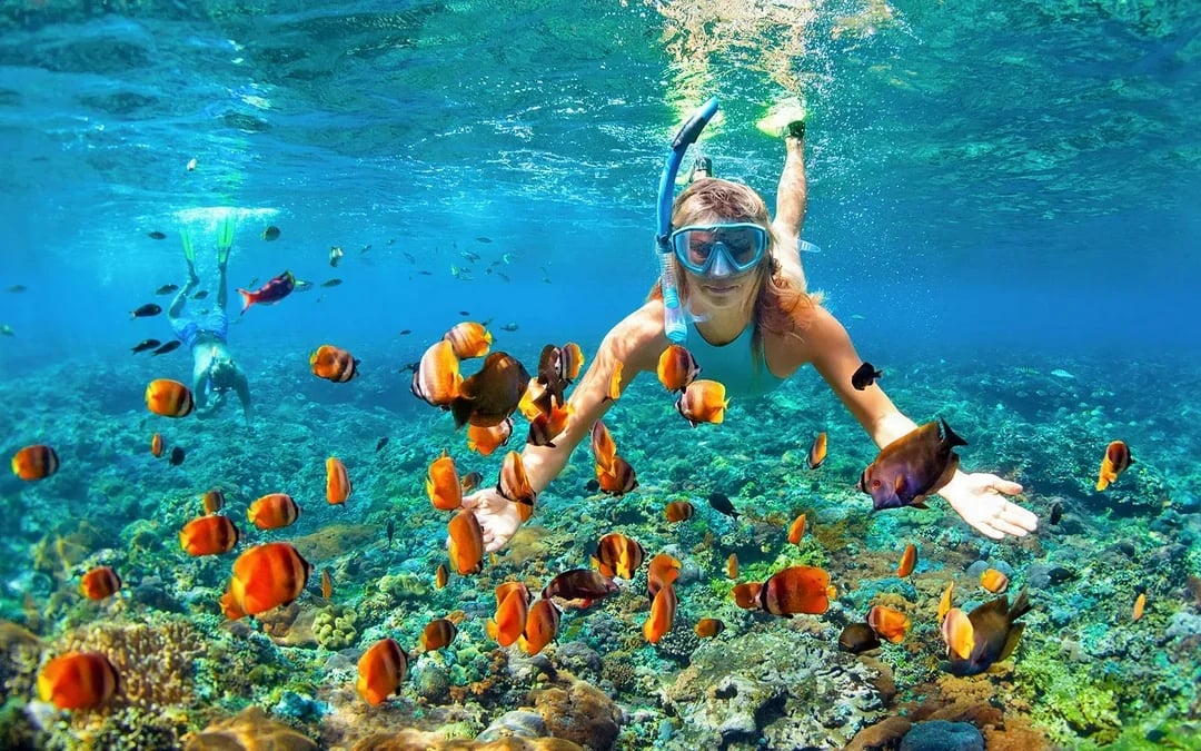 Cairns to Great Barrier Reef Snorkel Cruise with Lunch Image 6