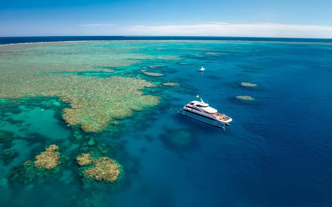 Cairns to Great Barrier Reef Snorkel Cruise with Lunch Image 7
