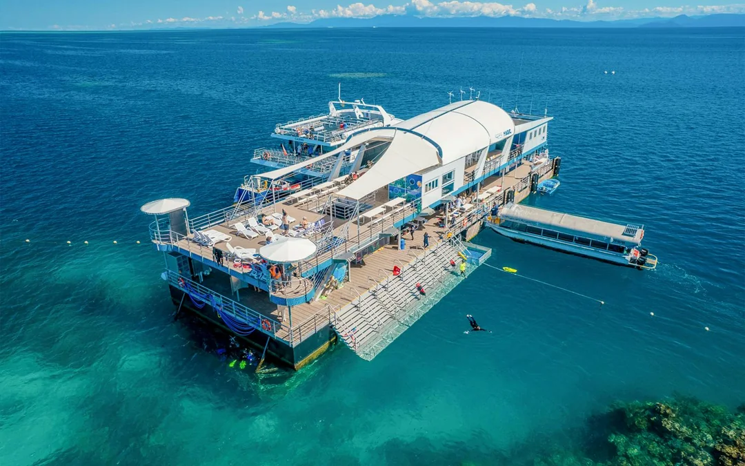 Cairns to Great Barrier Reef Snorkel Cruise with Pontoon Activities and Lunch by Reef Magic Image 1