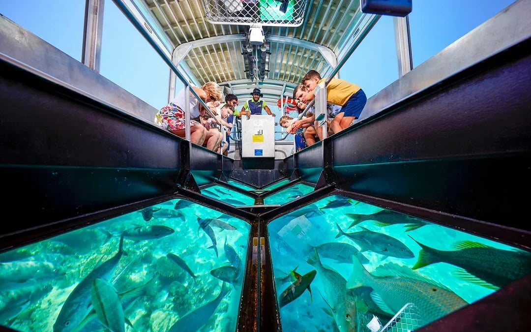 Cairns to Great Barrier Reef Snorkel Cruise with Pontoon Activities and Lunch by Reef Magic Image 2