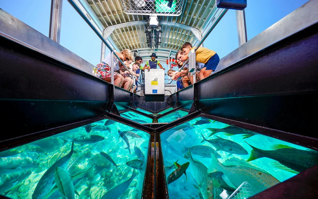 Cairns to Great Barrier Reef Snorkel Cruise with Pontoon Activities and Lunch by Reef Magic Image 2