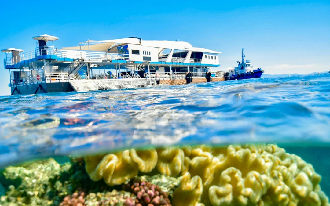 Cairns to Great Barrier Reef Snorkel Cruise with Pontoon Activities and Lunch by Reef Magic Image 12