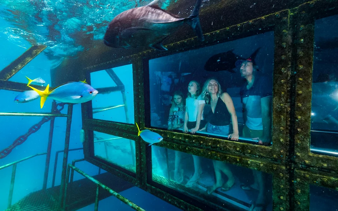 Cairns to Great Barrier Reef Snorkel Cruise with Pontoon Activities and Lunch by Reef Magic Image 3