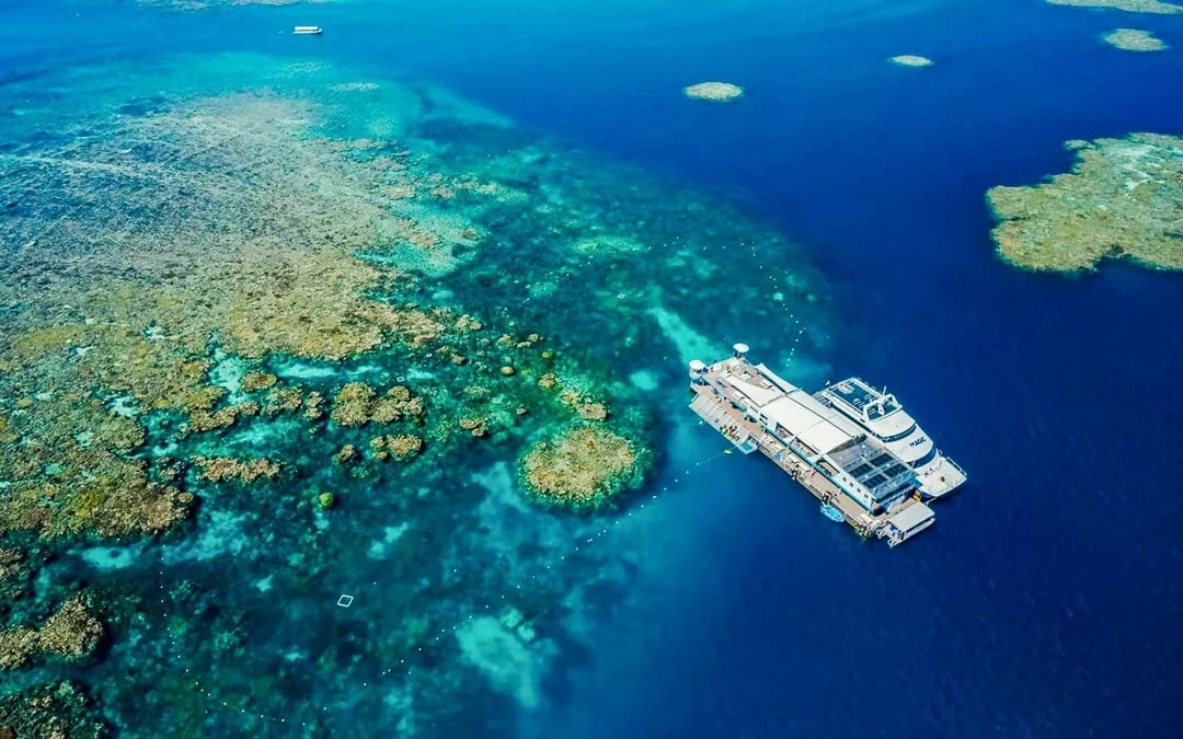 Cairns to Great Barrier Reef Snorkel Cruise with Pontoon Activities and Lunch by Reef Magic Image 6