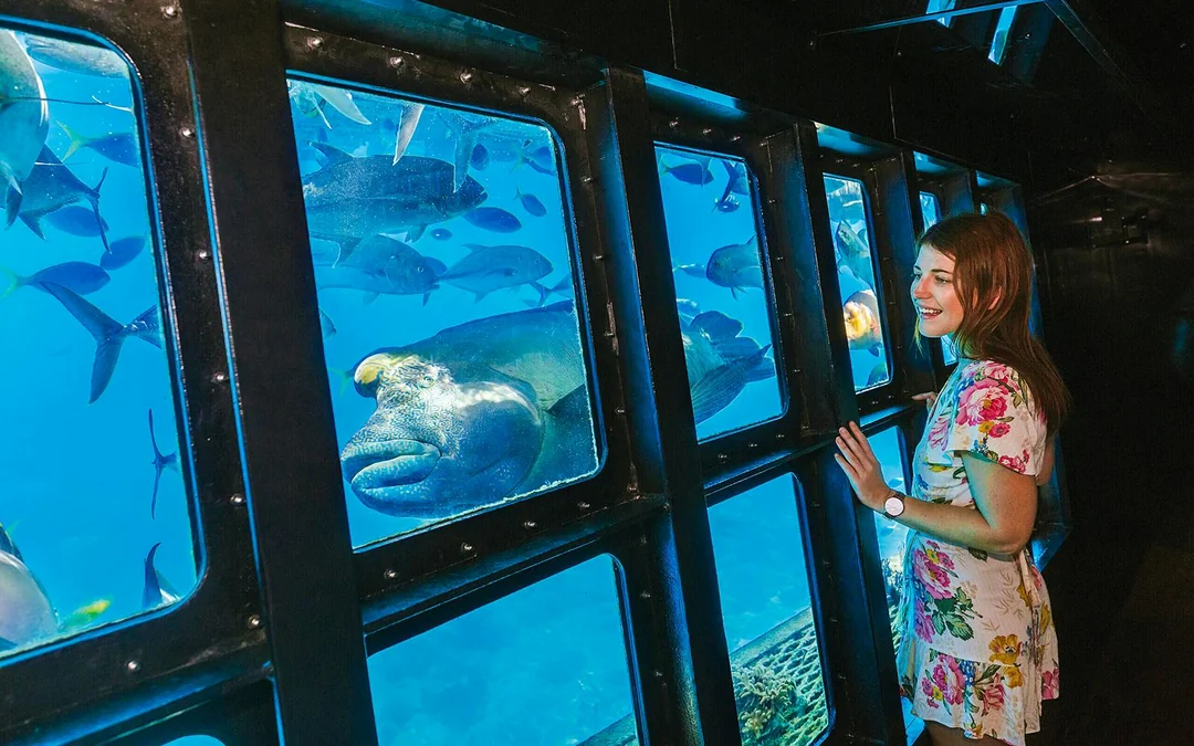 Cairns to Great Barrier Reef Snorkel Cruise with Pontoon Activities and Lunch by Sunlover Image 3
