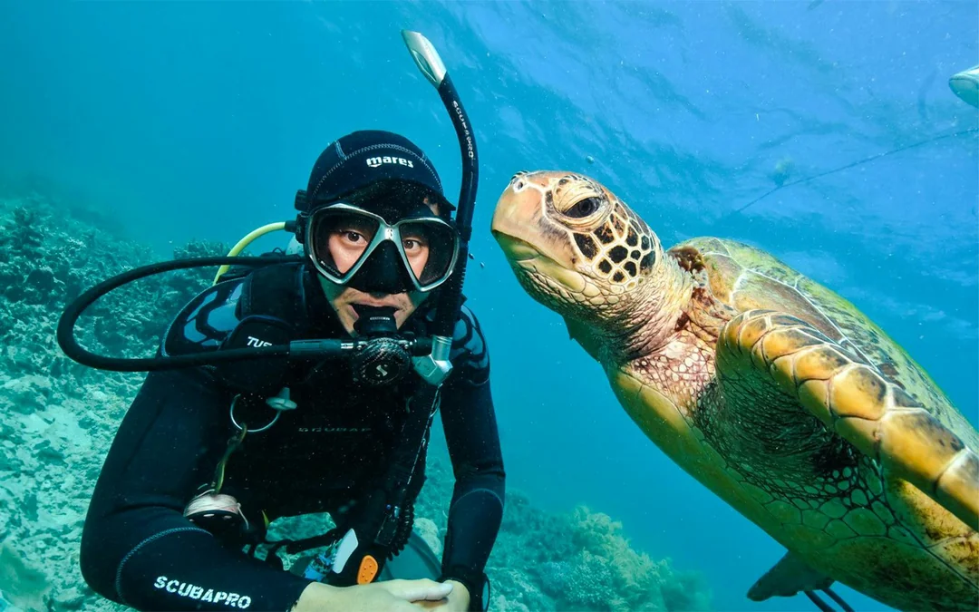 Cairns to Great Barrier Reef Snorkel Cruise with Pontoon Activities and Lunch by Sunlover Image 4
