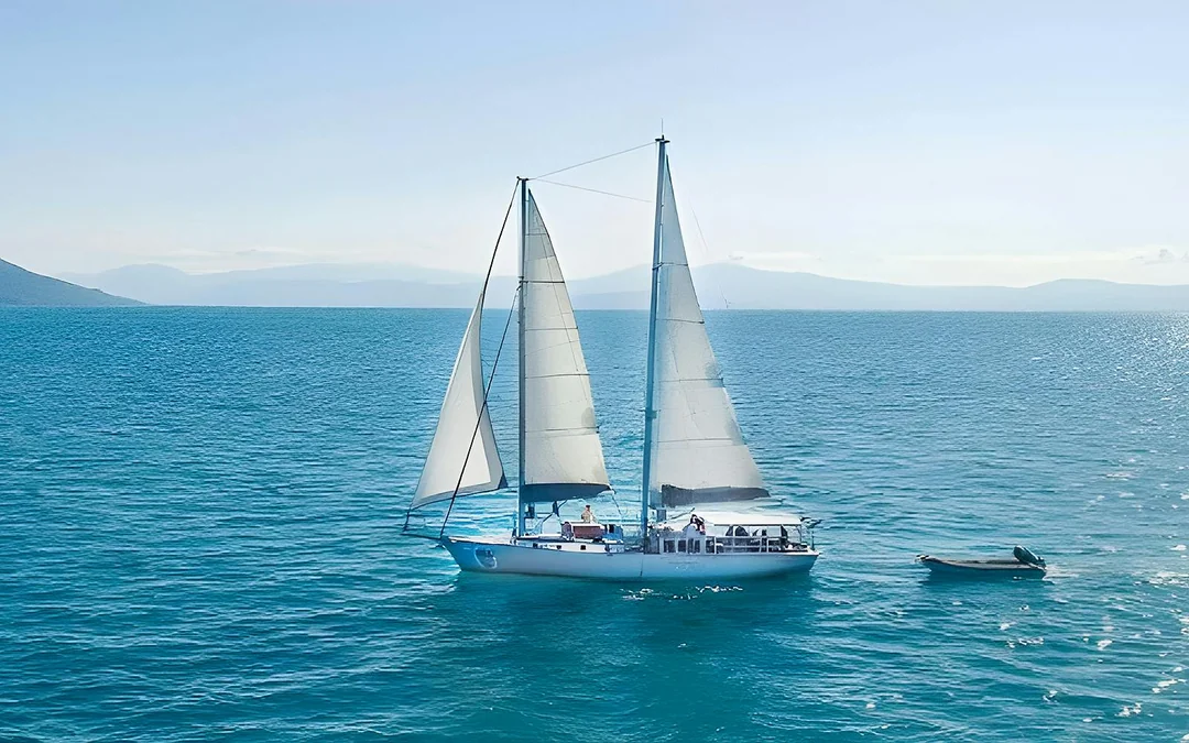 Cairns to Green Island and Outer Reef Sailing Cruise with Guided Snorkel and Lunch Image 1