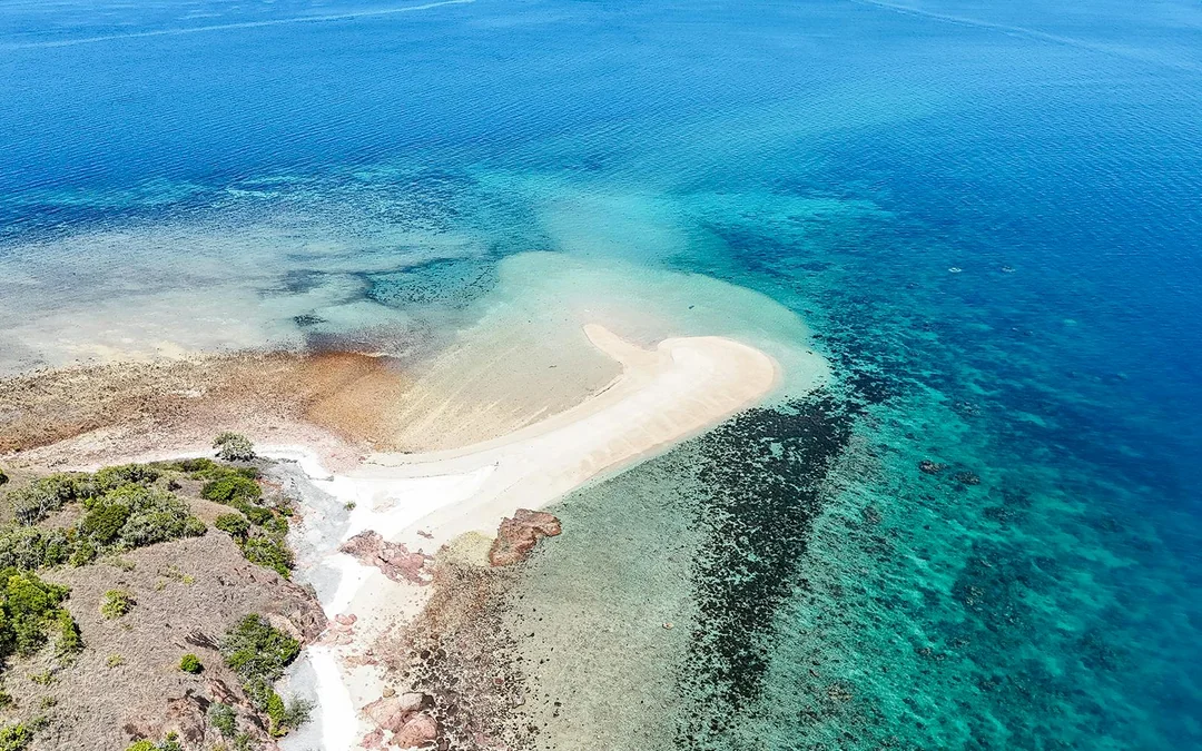 Cairns to Green Island and Outer Reef Sailing Cruise with Guided Snorkel and Lunch Image 3