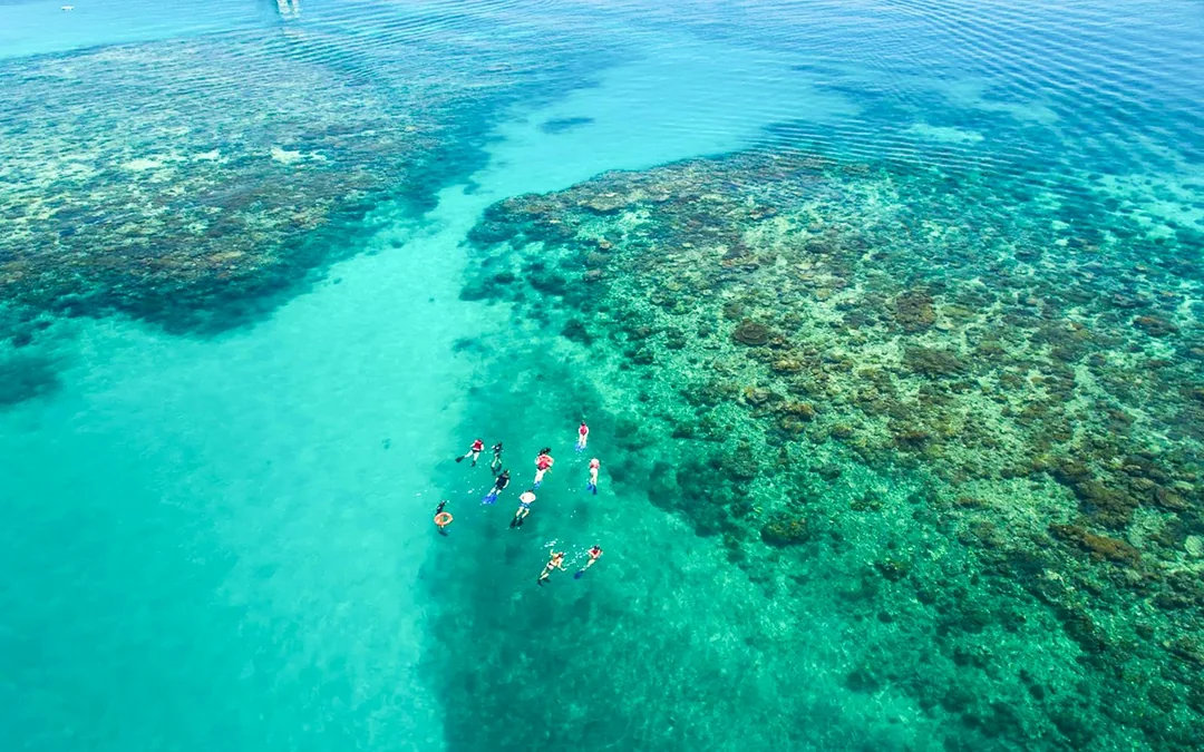 Cairns to Green Island and Outer Reef Sailing Cruise with Guided Snorkel and Lunch Image 4