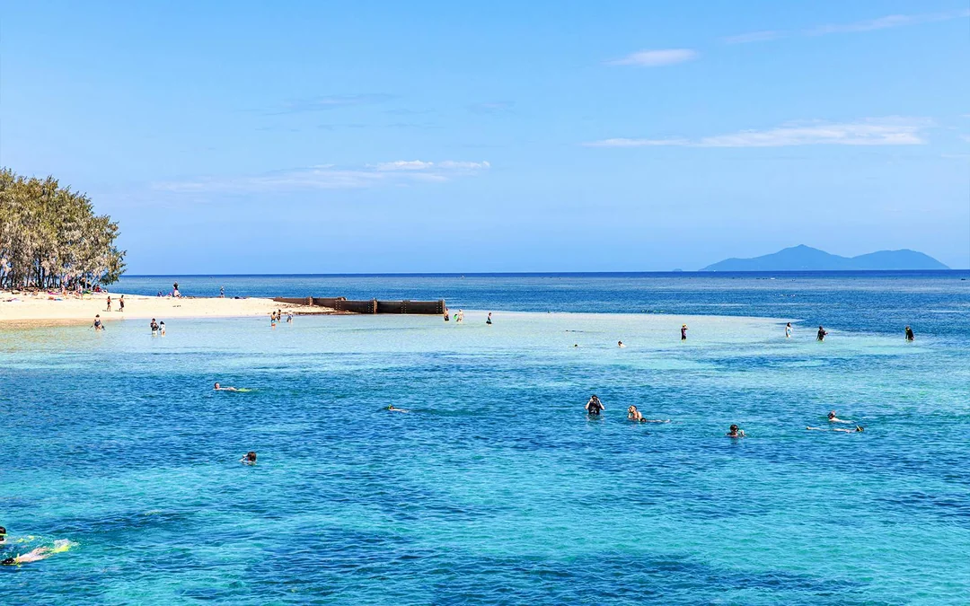 Cairns to Green Island and Outer Reef Sailing Cruise with Guided Snorkel and Lunch Image 5