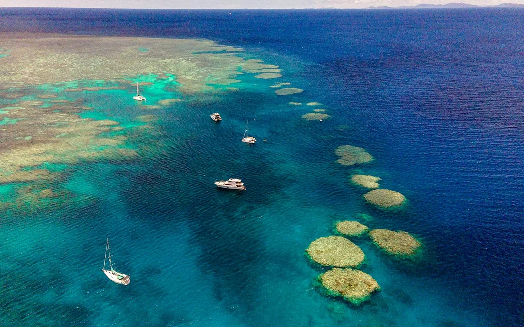 Cairns to Green Island and Outer Reef Sailing Cruise with Guided Snorkel and Lunch Image 8