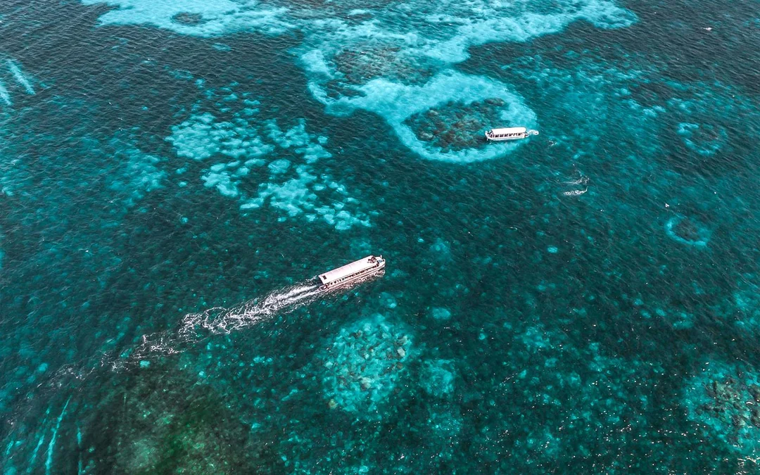 Cairns to Green Island Half Day Cruise with Activity Upgrades Image 1