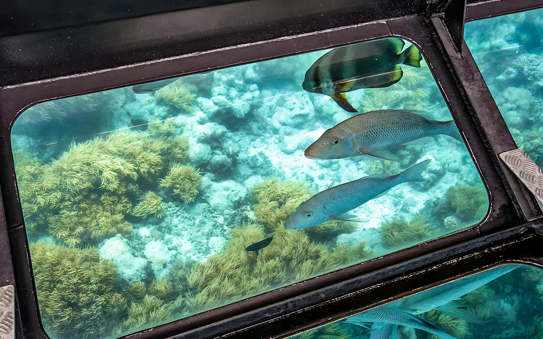 Cairns to Green Island Half Day Cruise with Activity Upgrades Image 3