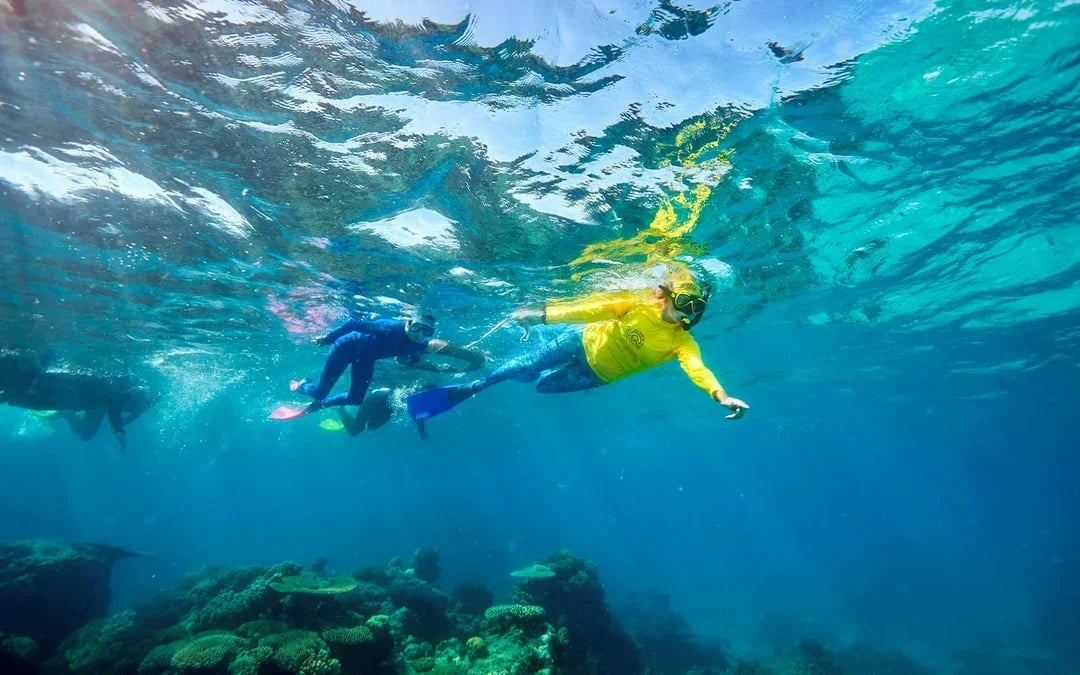 Cairns to Green Island Half Day Cruise with Activity Upgrades Image 9