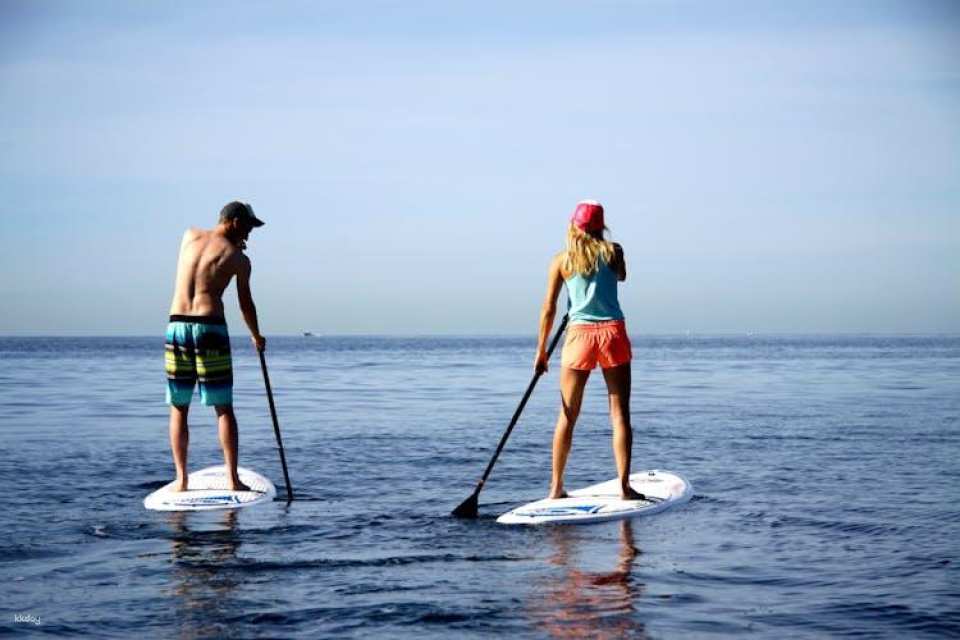 Calanova guided paddle surf excursion
