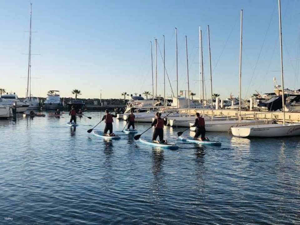 Calanova guided paddle surf excursion