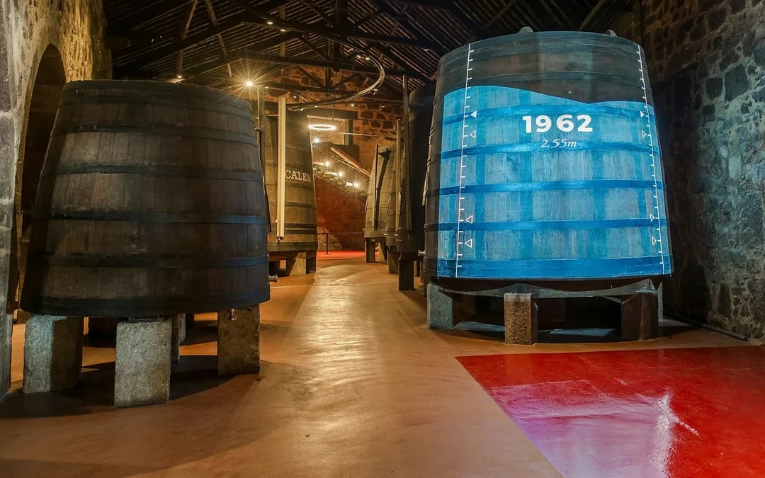Cálem Cellars Guided Tour and Port Wine Tasting Image 5