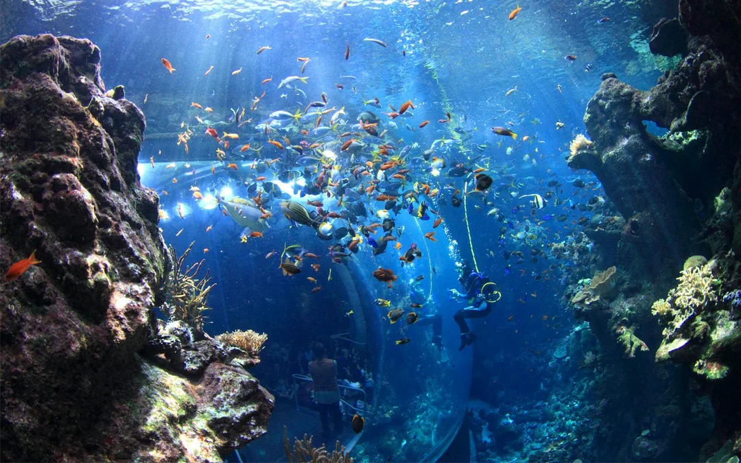 California Academy of Sciences Tickets Image 1