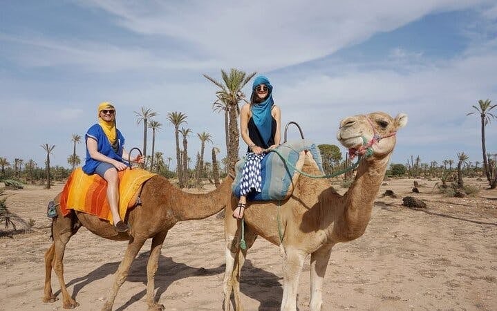 Camel ride Experience in Palmeraie grove & Transfer - Marrakesh Image 2