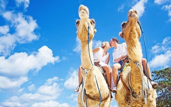 Camel ride Experience in Palmeraie grove & Transfer - Marrakesh Image 3