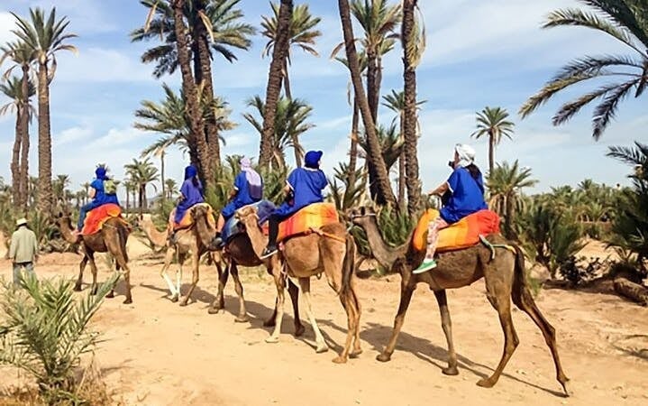 Camel ride Experience in Palmeraie grove & Transfer - Marrakesh Image 5