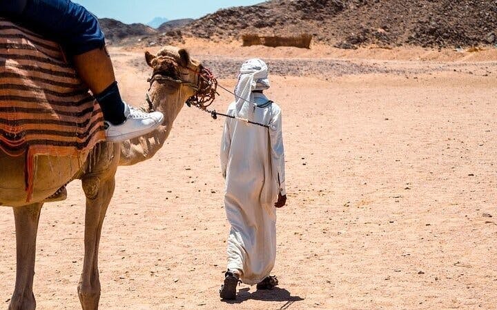 Camel ride Experience in Palmeraie grove & Transfer - Marrakesh Image 7