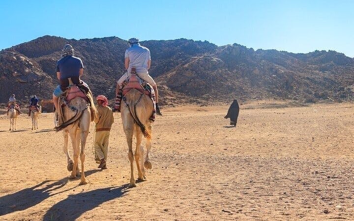 Camel ride Experience in Palmeraie grove & Transfer - Marrakesh Image 8