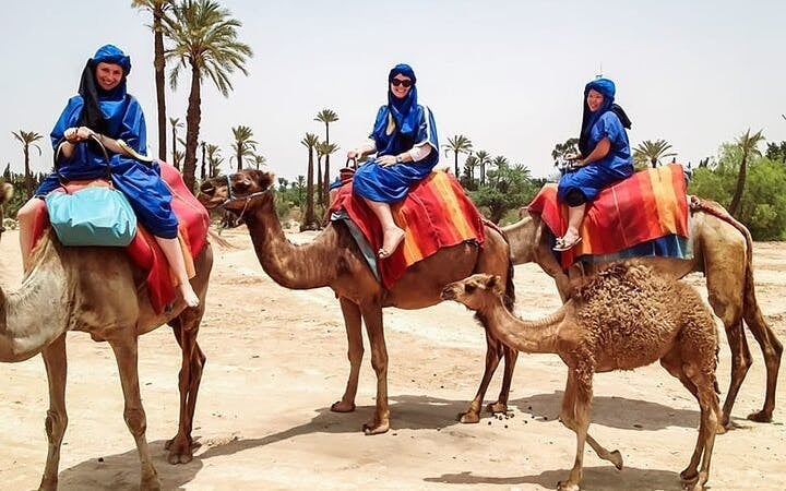 Camel ride Experience in Palmeraie grove & Transfer - Marrakesh Image 9