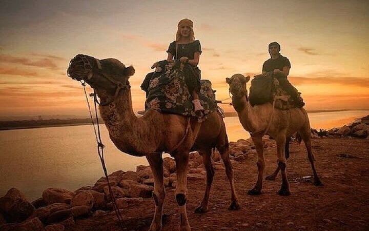 Camel Ride Through the Palmeraie Grove With Transfer - Marrakesh Image 8