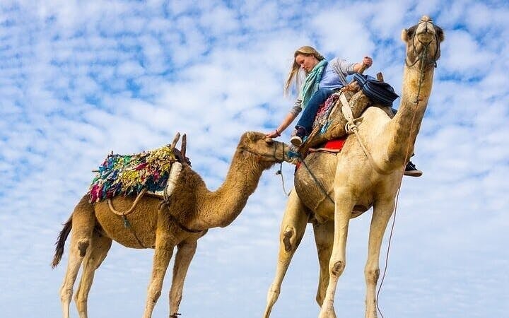 Camel Ride Through the Palmeraie Grove With Transfer - Marrakesh Image 9