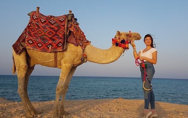 Camel Ride Two Hours Experience With Transfer - Sharm El Sheikh Image 2