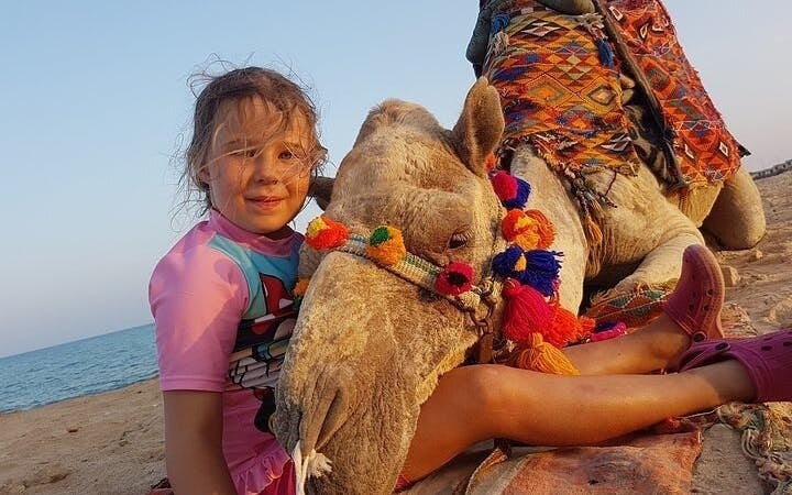 Camel Ride Two Hours Experience With Transfer - Sharm El Sheikh Image 5