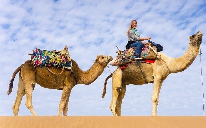 Camel Ride Two Hours Experience With Transfer - Sharm El Sheikh Image 6