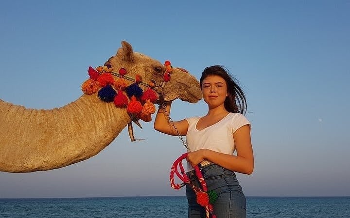 Camel Ride Two Hours Experience With Transfer - Sharm El Sheikh Image 7