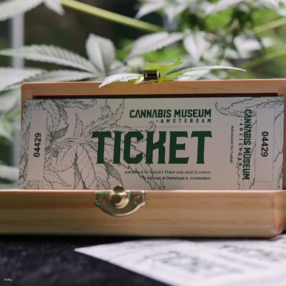 Cannabis Museum Amsterdam Ticket