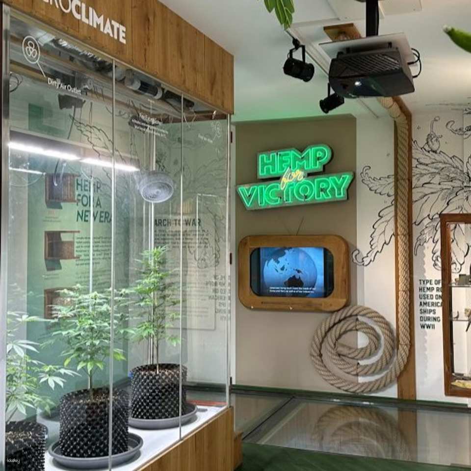 Cannabis Museum Amsterdam Ticket