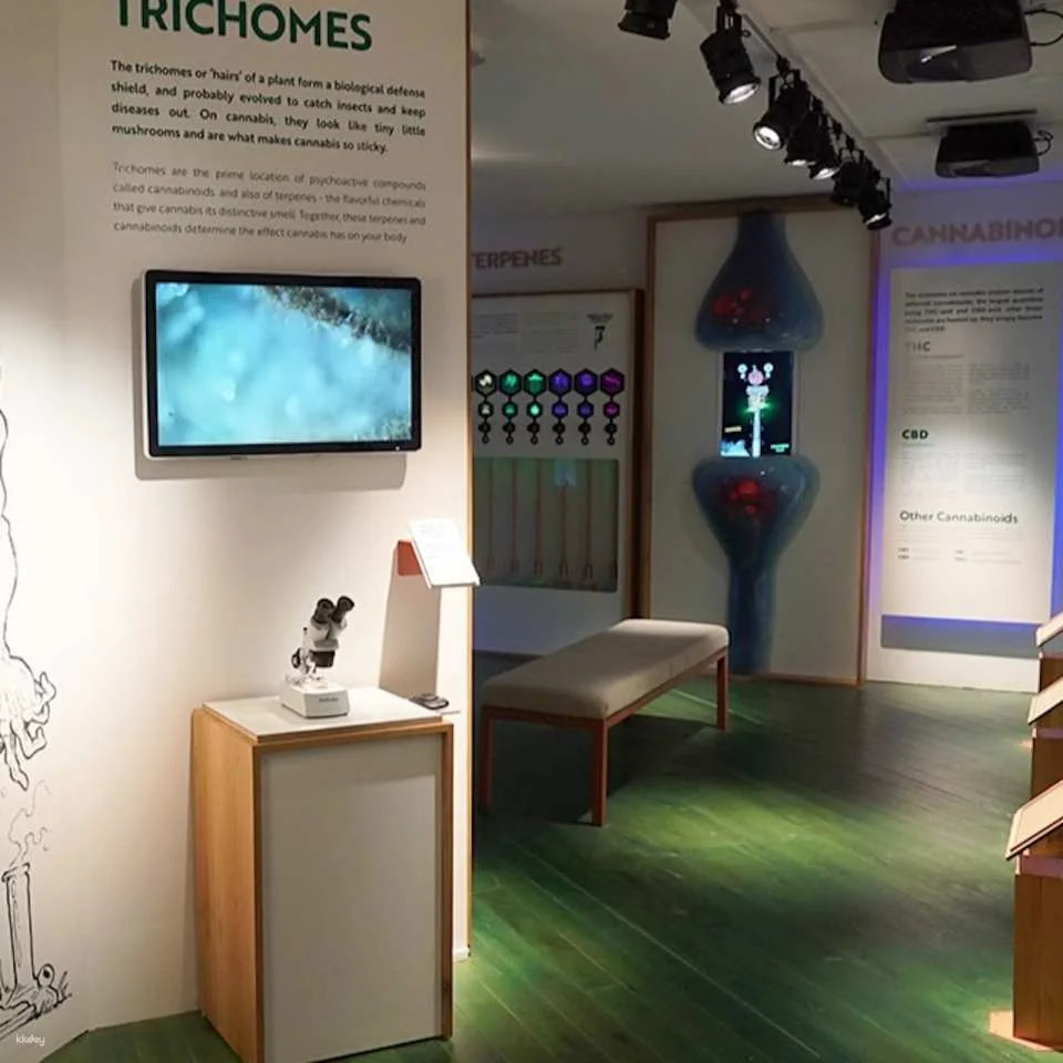 Cannabis Museum Amsterdam Ticket