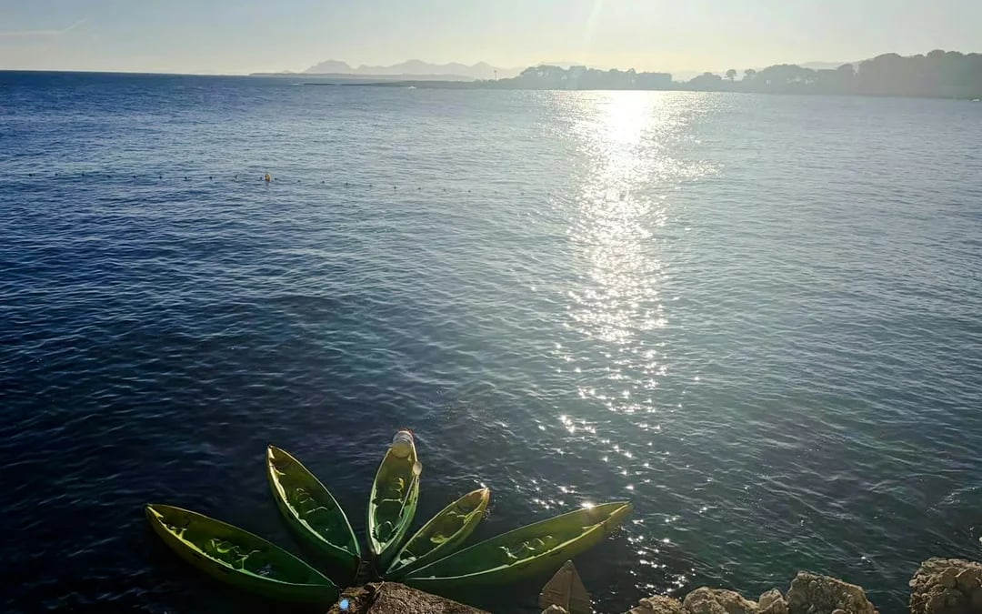 Cap d'Antibes and Billionaires' Bay Guided Kayak and Snorkeling Tour with Picnic or Aperitif Image 8