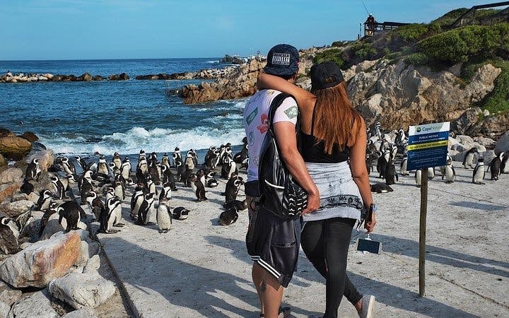 Cape Agulhas and Stony Point Private Guided Tour from Cape Town with Hotel Transfers Image 1