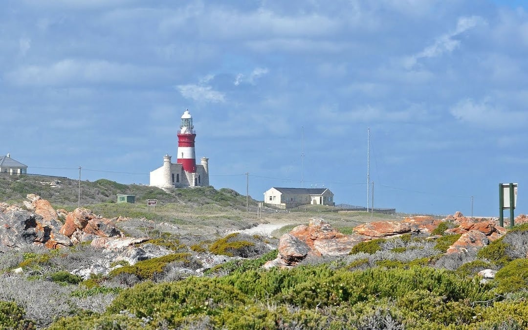 Cape Agulhas Private Day Tour from Cape Town with Parrie the Stingray and Waenhuiskrans Cave Image 3
