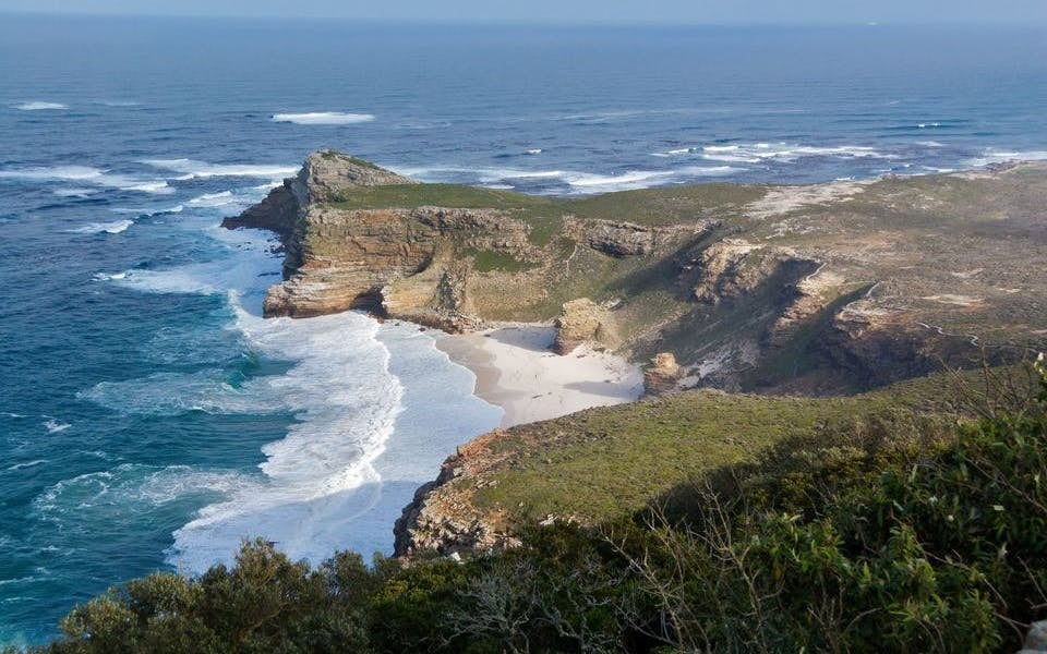 Cape Peninsula Guided Tour with Chapman's Peak, Penguins, and Seals Image 8