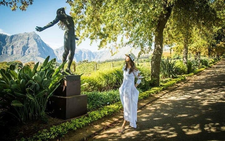 Cape Peninsula Private Helicopter Tour with Stellenbosch Wine Tastings and 4-Course Lunch Image 5